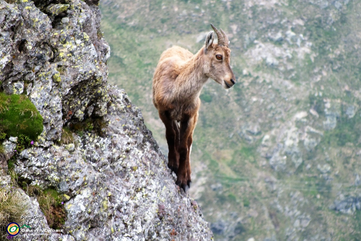 25 Acrobati sulle rocce.JPG